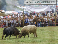 NAKON TRI GODINE PAUZE: Čevljanska korida bit će održana 29. i 30. jula, organizatori zabranili...