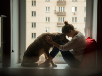 PET TERAPIJA, VRIJEDAN I SVESTRAN OBLIK POMOĆI: S ovom terapijom smanjite stres i bol, a podignite raspoloženje