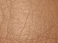 ALARMANTNO: Stručnjaci došli do neočekivanog otkrića, ljudska koža može upiti po zdravlje izrazito štetne…