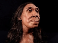 KAKVA REKONSTRUKCIJA: Kako su izgledali naši najbliži ljudski rođaci od prije 75.000 godina? (FOTO)