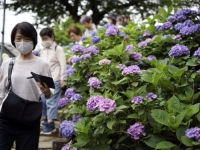 SMRTONOSNA BAKTERIJA: Japanom se širi bolest koja 'izjeda ljudsko meso'