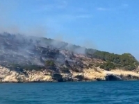 EVAKUIRANI TURISTI: Na jugu Italije izbio veliki šumski požar, gradonačelnik Viesteas sumnja...