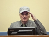 DARKO MLADIĆ: Zdravstveno stanje ratnog zločinca Ratka Mladića je 'stabilno loše'