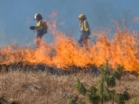 NA NEPRISTUPAČNOM TERENU: Vatrogasci se bore sa požarom koji je izbio kod Stoca