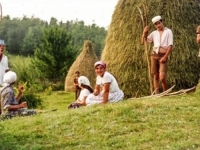 REZULTATI ĆE VAS IZNENADITI: Na pitanje iz 1984. 'ko je gazda u kući', ovako su odgovarali ljudi iz Jugoslavije