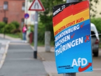 ZABRINJAVAJUĆE VIJESTI IZ NJEMAČKE: AfD vodi u anketama pred izbore u Brandenburgu