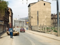 KANADSKI FOTOGRAF UPUTIO MOLBU: 'Molim vas pomozite mi da ga pronađem. I ženu lijevo i pastira desno, ukoliko nekoga...'