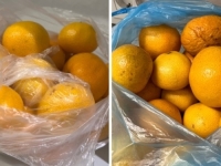 MANDARINE IZ DOLINE NERETVE TESTIRANE NA PESTICIDE: Ima li razlike od onih kupljenih na pijaci ili u prodavnici?