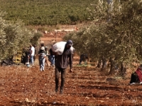 NIŠTA IM NIJE SVETO: Izraelci iz Zapadne obale koriste se ratnom taktikom, evo kako dodatno žele naškoditi Palestincima