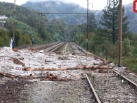 PRUGA OSTALA VISITI U ZRAKU: Željeznice FBiH dnevno gube 280.000 KM zbog blokade saobraćaja