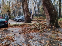 SNAŽNO NEVRIJEME U KRAJINI: Vjetar u Bihaću čupao stabla, nekoliko ulica blokirano, apeluje se na građane...