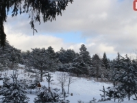 ZAKOVALO NA MINUS 12: Zimsko jutro u Bosni i Hercegovini, najniža temperatura izmjerena u...