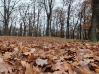 ZIMA KUCA NA VRATA: Evo kakvo nas vrijeme očekuje tokom dana...