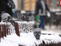 NOVI PREOKRET: Evo kakvo nas vrijeme očekuje u narednih nekoliko dana...