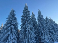 PREMJEŠTANJE HLADNE FRONTE...: Meteorolozi prognoziraju kakvo nas vrijeme očekuje u narednih nekoliko dana