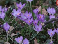 KO BI SE OVOME NADAO: Evo kakvo nas vrijeme očekuje u narednih 15 dana... 