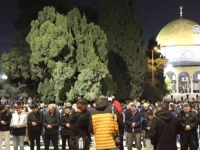 LIJEPI PRIZORI IZ ISTOČNOG JERUSALEMA: Hiljade Palestinaca klanjalo teravih-namaz u džamiji Al-Aqsa