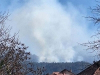 BJESNI POŽAR NA TREBEVIĆU: Vatrogasci odbili vatru od naseljenog dijela, sumnja se da je...